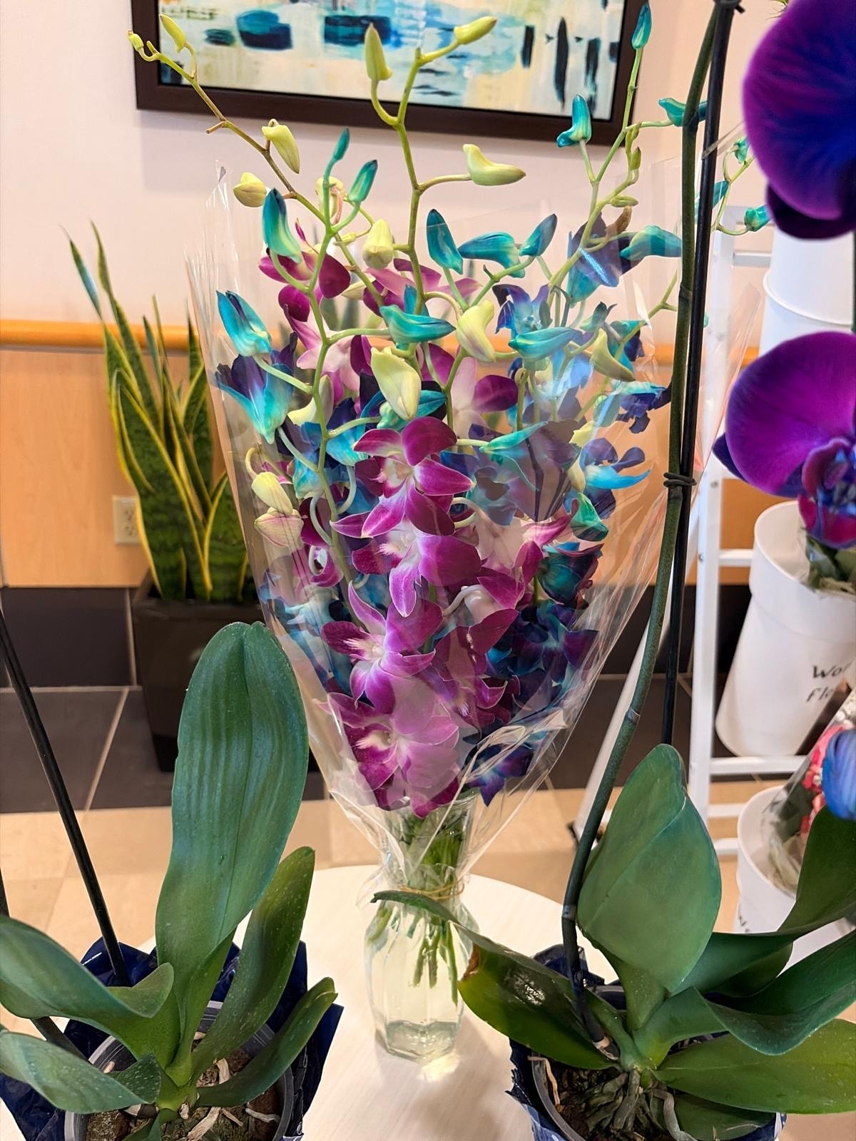 Arrangement #8